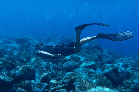 Tenerife: experiencia de apnea y esnórquelTenerife: experiencia de buceo libre y esnórquel