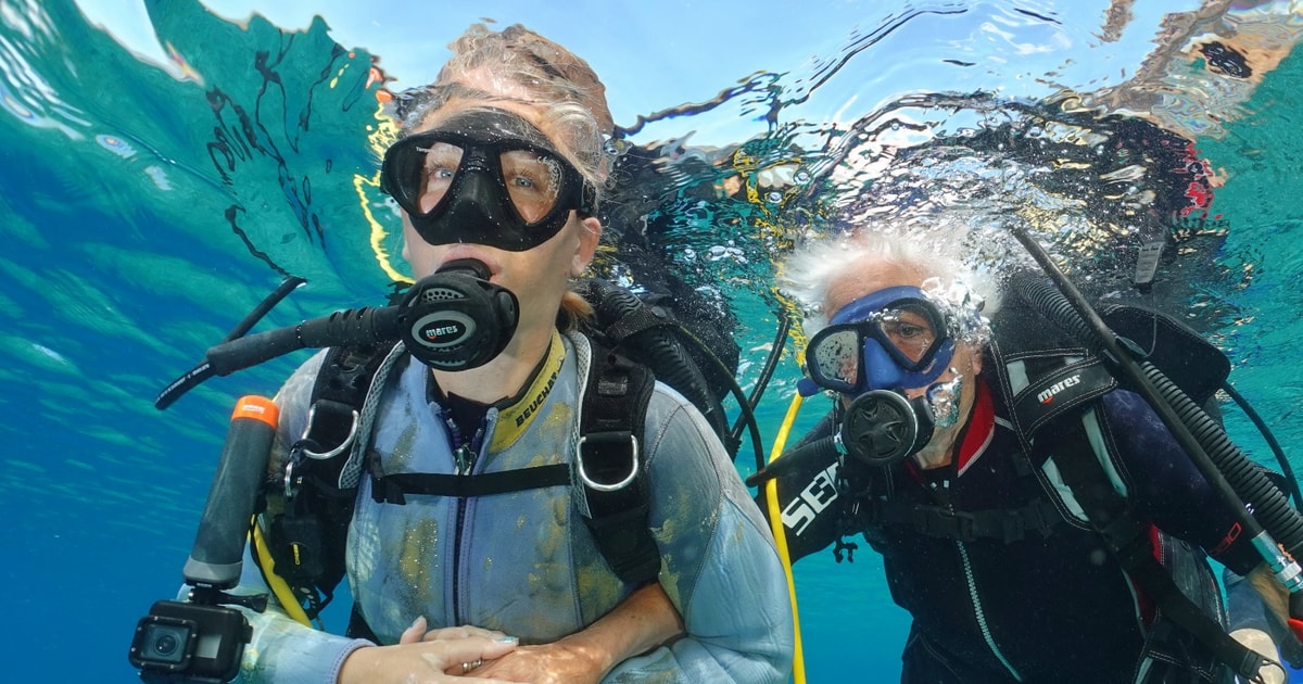 Candelaria Try diving for the first time GetYourGuide