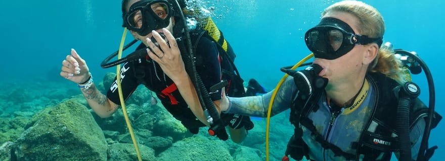Essayez de plonger pour la première fois dans la zone des tortues