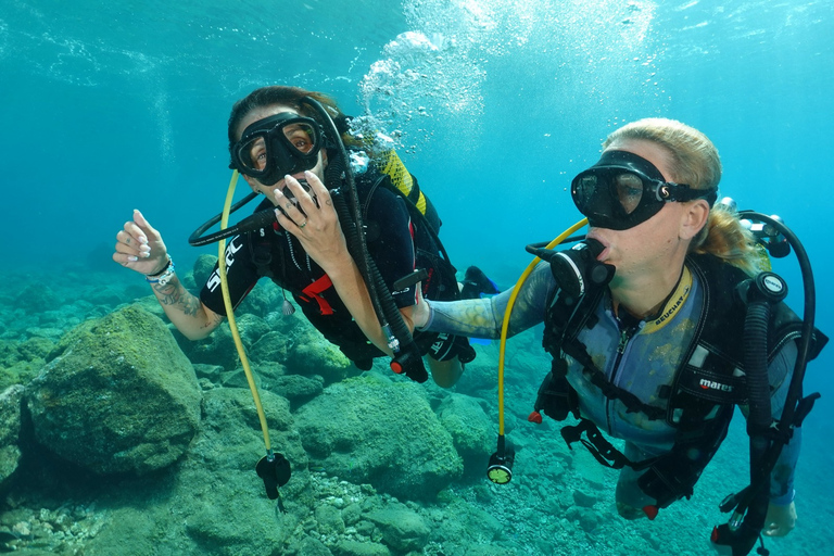 Try diving for the first time in turtle areaCandelaria, Tenerife: Beginner Scuba Diving Course