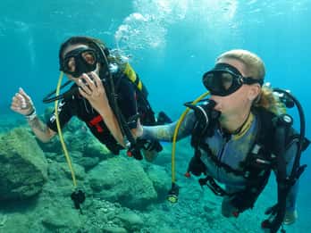 Prova a immergerti per la prima volta nell'area delle tartarughe