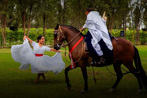 Lima: Almoço buffet, espetáculo de dança : Cavalos de Paso Peruanos :
