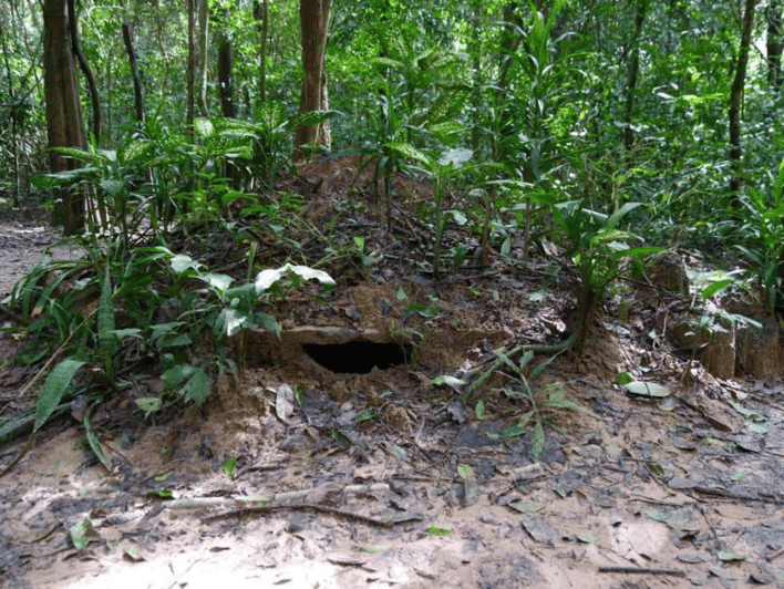 Ho Chi Minh City: Cu Chi Tunnels and Gun Shooting Experience | GetYourGuide