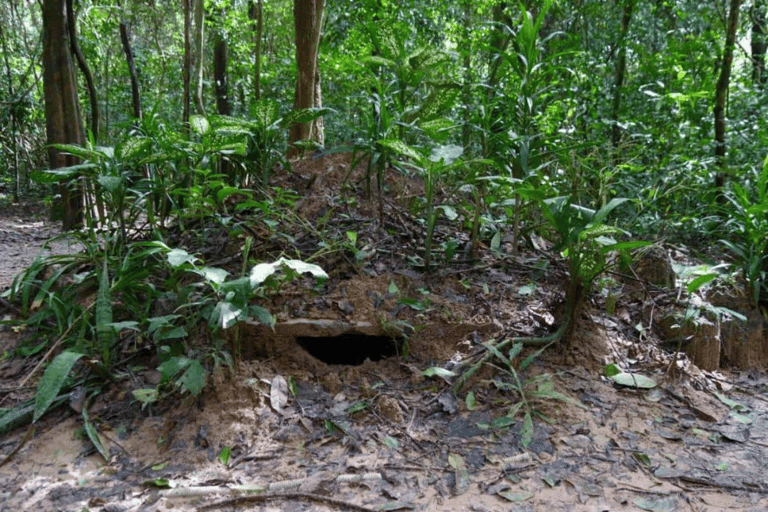 Cidade de Ho Chi Minh: Túneis de Cu Chi e experiência de tiro com arma de fogo