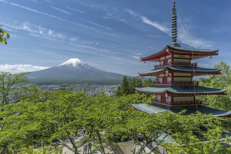 大阪発 京都 白川郷 富士山 4日間 ガイド付きツアー Getyourguide
