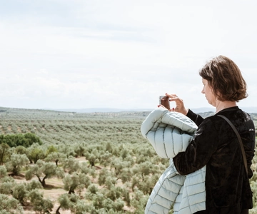 Jaén: Unforgettable visit to the olive mill + EVOO tasting