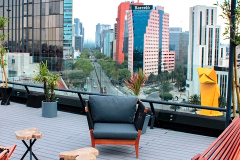 Mexiko-Stadt: Panoramablick auf die Dachterrassen Geführte TourTour am Morgen
