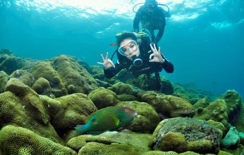 From Rio de Janeiro: Scuba Diving in Arraial do Cabo | GetYourGuide