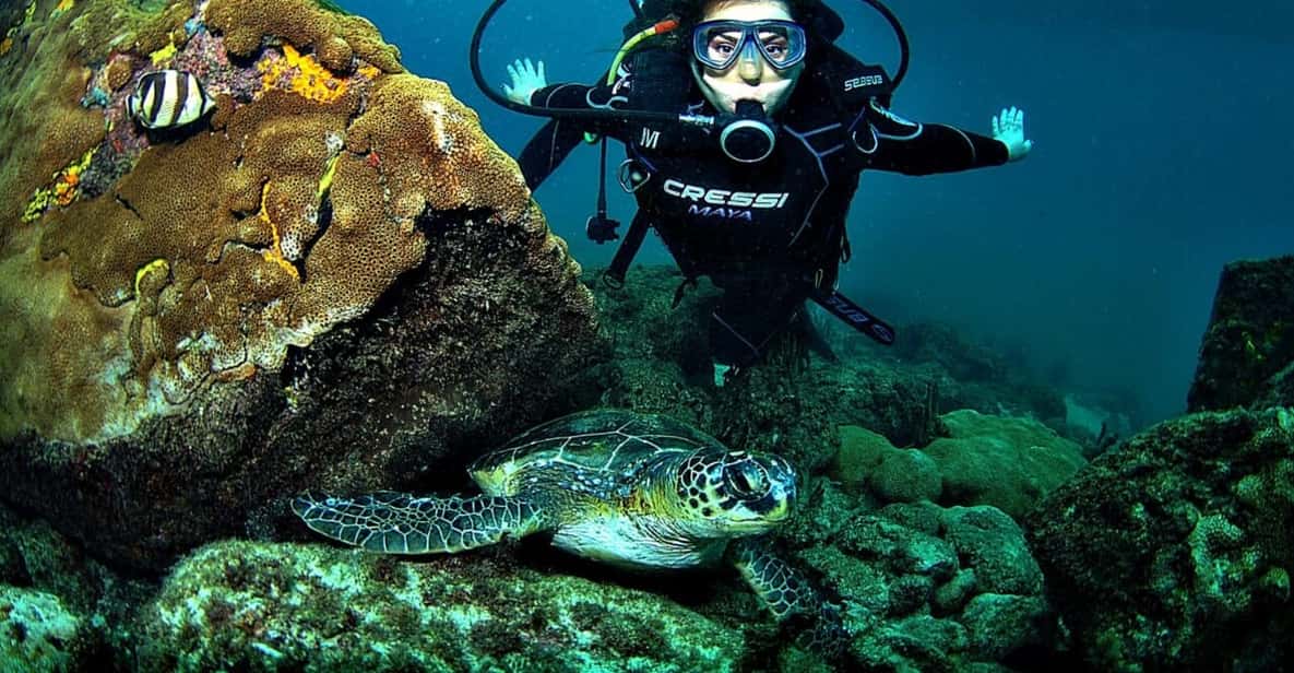 From Rio De Janeiro Scuba Diving In Arraial Do Cabo GetYourGuide from-rio-de-janeiro-scuba-diving-in-arraial-do-cabo-getyourguide