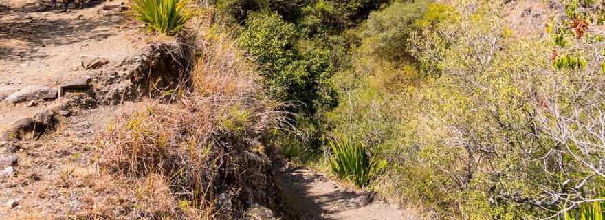 Randonnée de groupe à Mafate - Cayenne