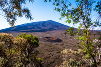 Réunion, Piton de la Fournaise Guided Volcano Hike - Housity