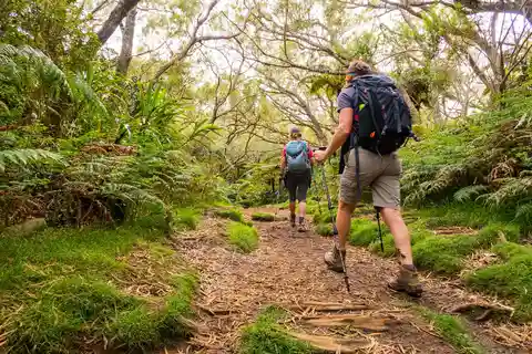 Forêt Bélouve : Randonnée hebdomadaire du groupe Trou de Fer en français