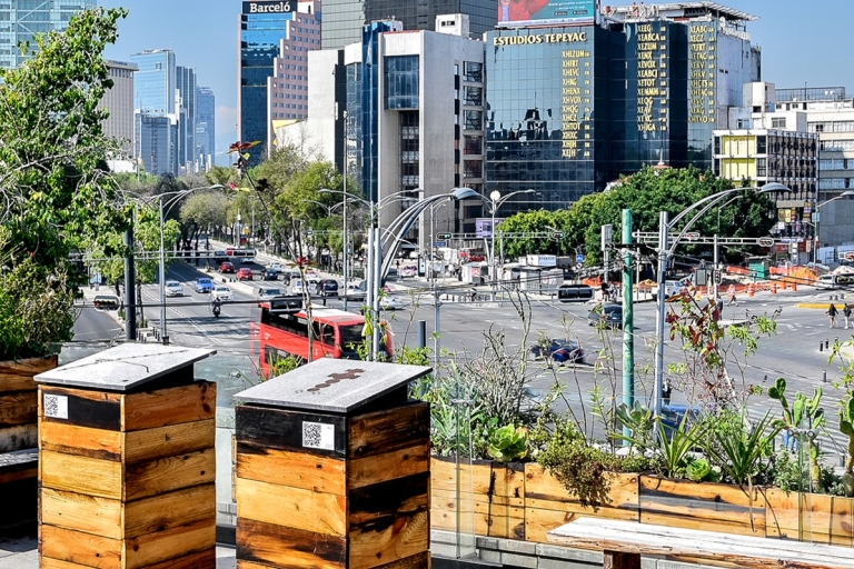 Ciudad de México: visita guiada a las azoteas con vistas panorámicasTour matutino