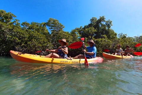 Key West: Sandbar Excursion & Kayak Tour with Lunch & Drinks