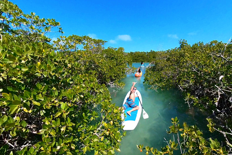 Key West : Excursion au banc de sable et excursion en kayak avec déjeuner et boissons