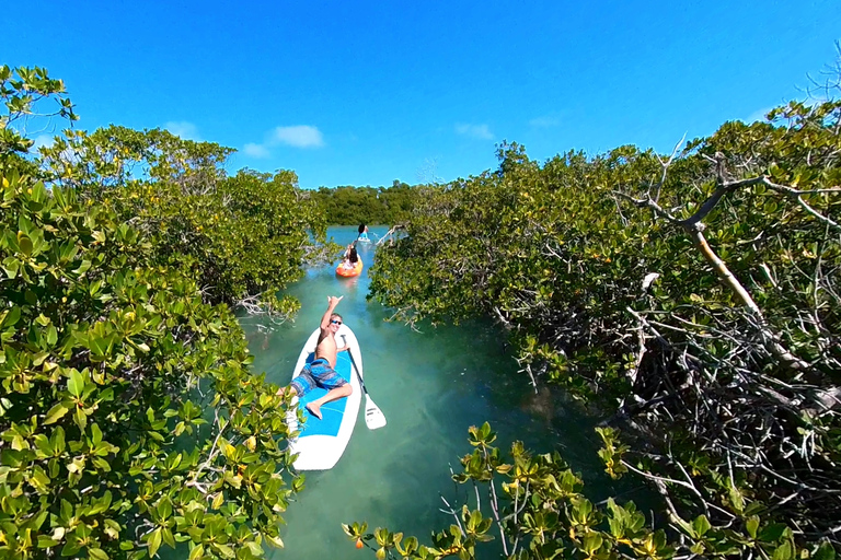 Key West: Sandbar Excursion & Kayak Tour with Lunch & Drinks