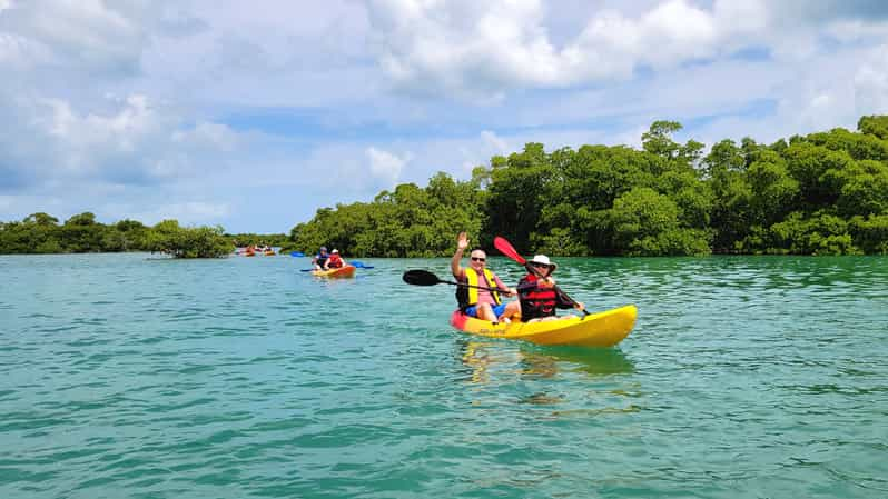 Key West: Sandbar Excursion & Kayak Tour with Lunch & Drinks | GetYourGuide