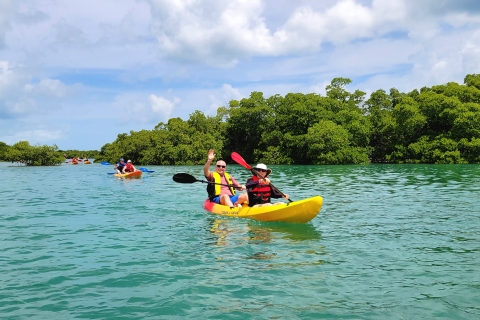 Cayo Hueso: Excursión a un banco de arena y paseo en kayak con almuerzo y bebidas