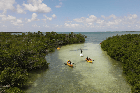 Key West: Sandbar Excursion & Kayak Tour met lunch en drankjes