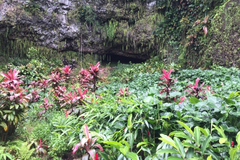 Kauai: Całodniowa wycieczka z Fern Grotto River Cruise