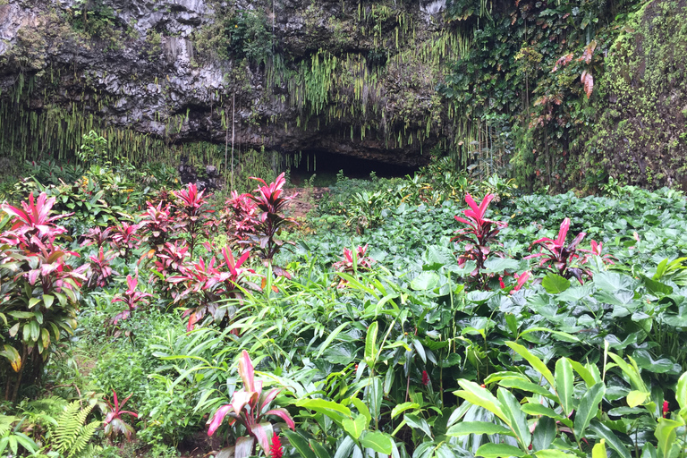 Kauai: Full-Day Tour with Fern Grotto River Cruise