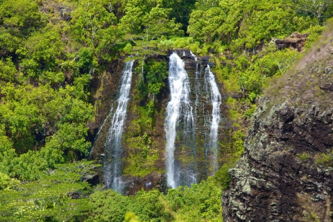 Kauai: excursion d'une journée complète avec croisière sur la rivière Fern Grotto