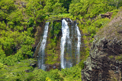 Kauai: tour de día completo con crucero por Fern Grotto