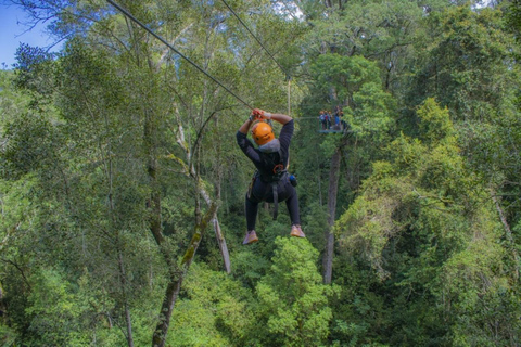 Magaliesberg: Ysterhout Gorge Zipline Crossing with Transfer