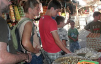 Lombok Rice Field Walking Tour - Housity
