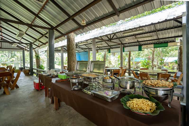 From Khao Lak: Ethical Elephant Sanctuary Tour in Phang Nga | GetYourGuide