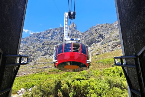 Cape Town: City Sightseeing Private Trip to Table Mountain