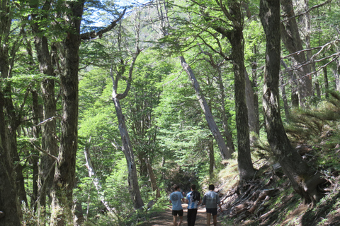 San Martín de los Andes: Half-Day Tour to the Mallin Grande