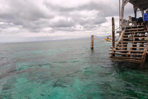 Cebu Nalusuan Island & Marine Sanctuary | Joiners Tour Nalusuan Island Tour