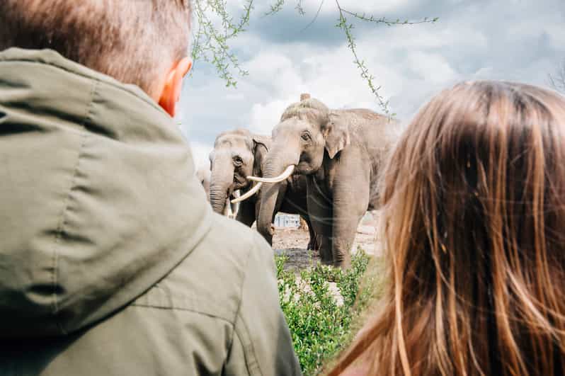 Eindhoven: Dierenrijk Zoo Entry Ticket