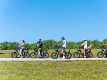 Tierra Verde: Fort De Soto Beach begeleide E-bike natuurtour
