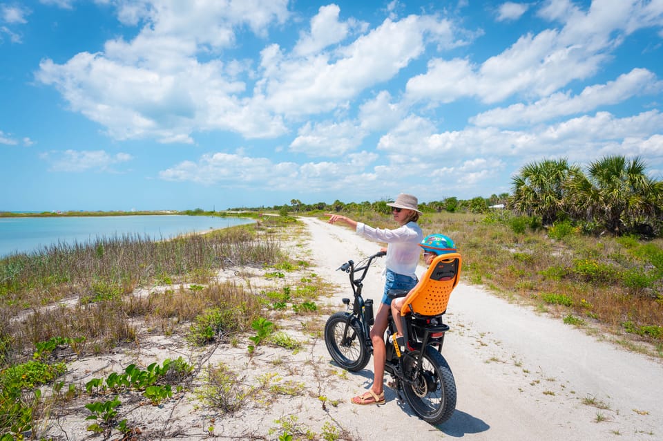 Tierra Verde: Fort De Soto Beach Guided E-Bike Nature Tour | GetYourGuide