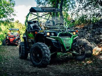 Fažana: Guided Buggy Tour in the Heart of Istria