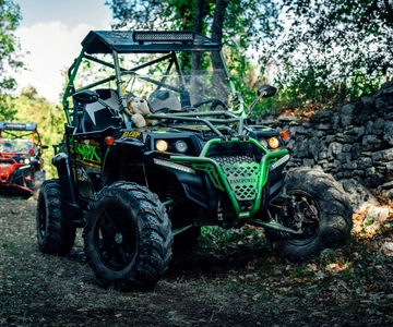 Fažana: Guided Buggy Tour in the Heart of Istria