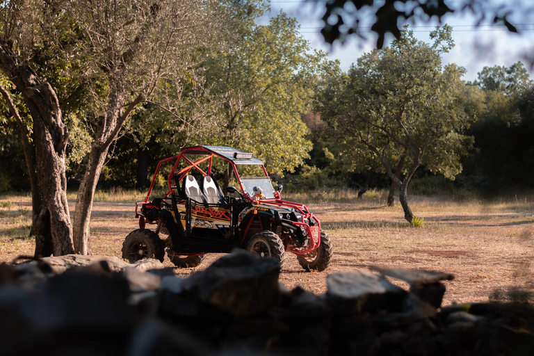 Fažana: Guided Buggy Tour in the Heart of Istria