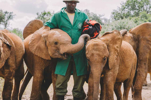 Ab Nairobi: Ganztägige Safari im Lake Nakuru Nationalpark