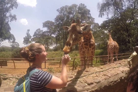 Desde Nairobi: safari de día completo en el parque nacional del lago Nakuru