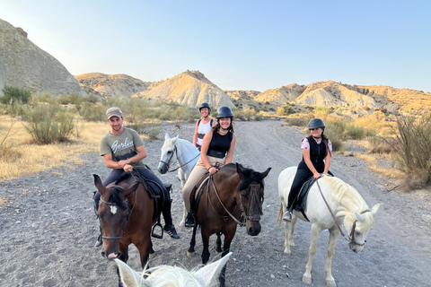 Almería: Ruta a caballo por el desierto de Tabernas para jinetes experimentados