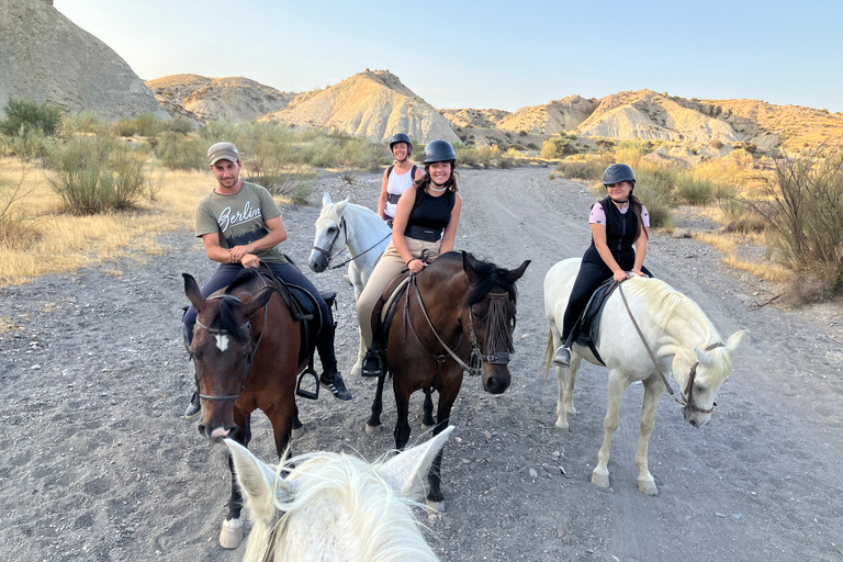 Almeria: Tabernas Desert Horse Riding for experienced ridersAlmeria: Tabernas Desert Horse Riding Tour for Advanced