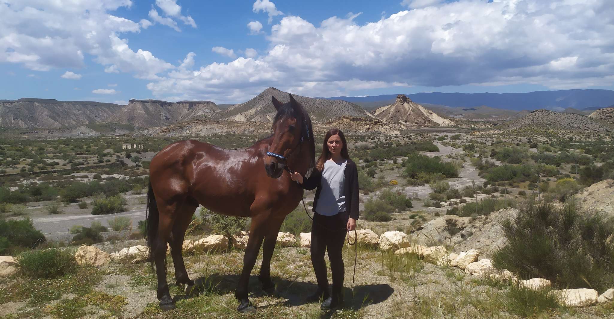 Almeria, Tabernas Desert Horse in equitazione per cavalieri esperti - Housity