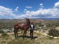 Almeria, Tabernas Desert Horse Riding for experienced riders - Housity