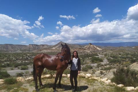 Almeria: équitation dans le désert de Tabernas pour cavaliers expérimentés