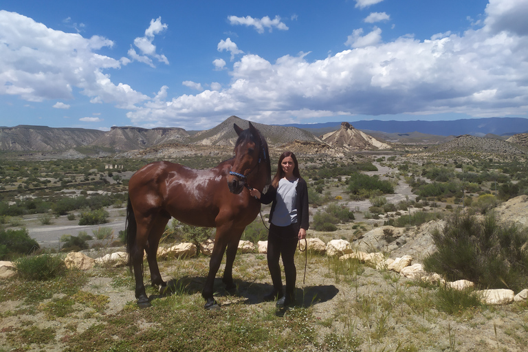 Almeria: Tabernas Desert Horse Riding per cavalieri espertiAlmeria: tour a cavallo nel deserto di Tabernas per esperti