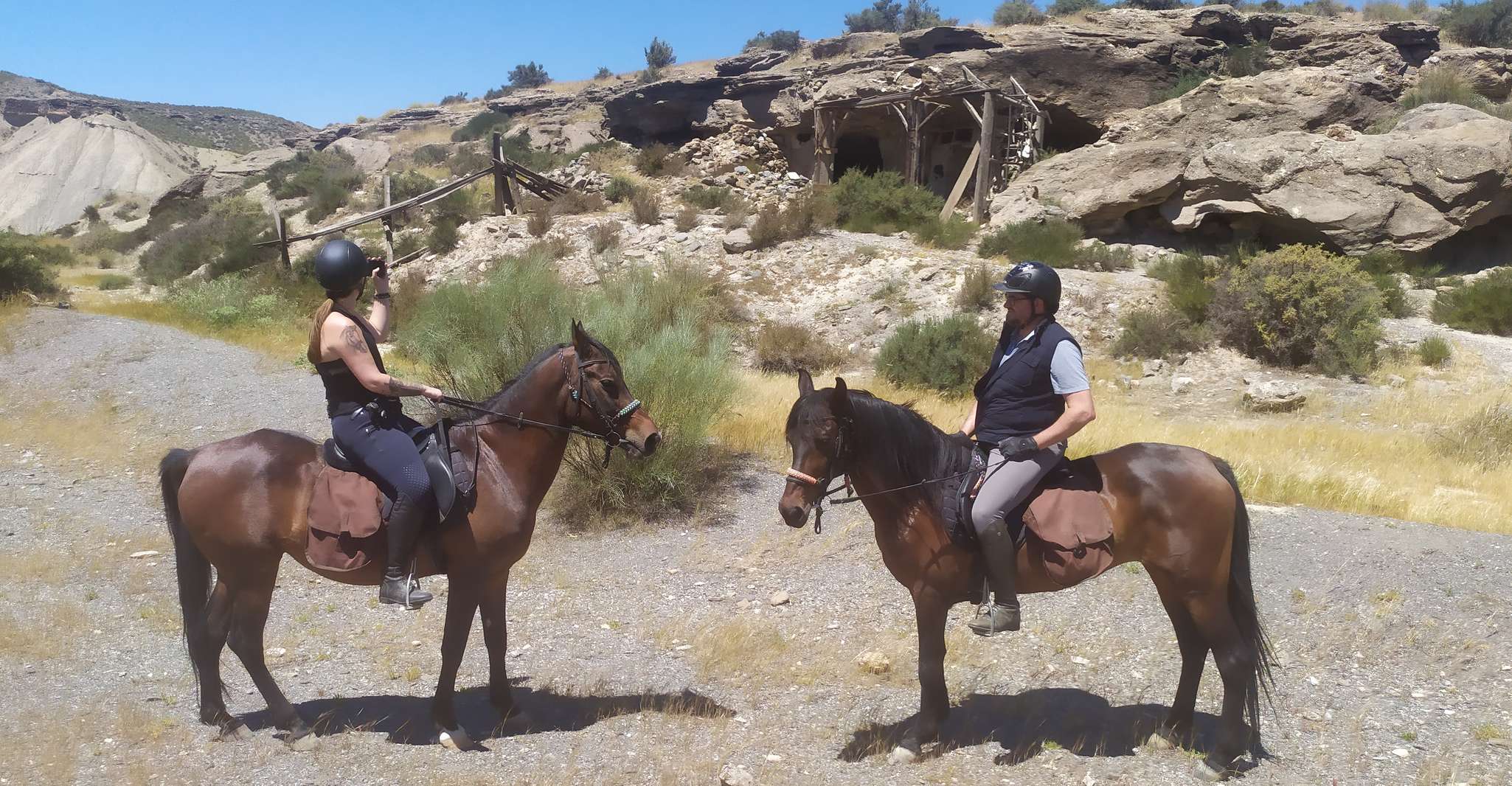 Almeria, Tabernas Desert Horse in equitazione per cavalieri esperti - Housity
