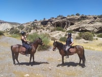Almeria, Tabernas Desert Horse Riding for experienced riders - Housity
