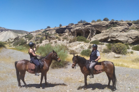 Almeria: Tabernas Desert Horse Riding per cavalieri espertiAlmeria: tour a cavallo nel deserto di Tabernas per esperti